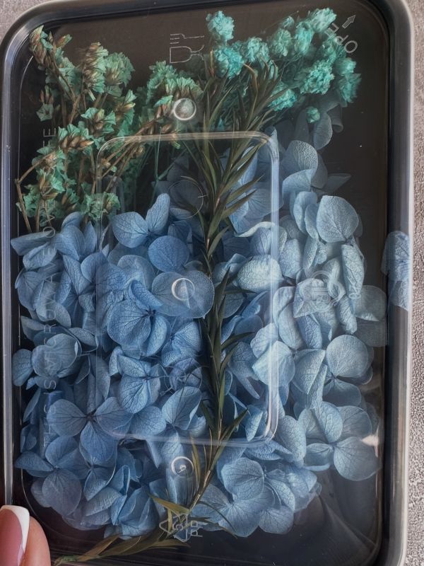 Сухі квіти набір синій 