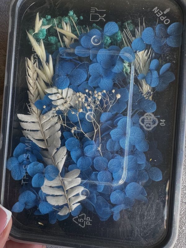 Сухі квіти набір синій 