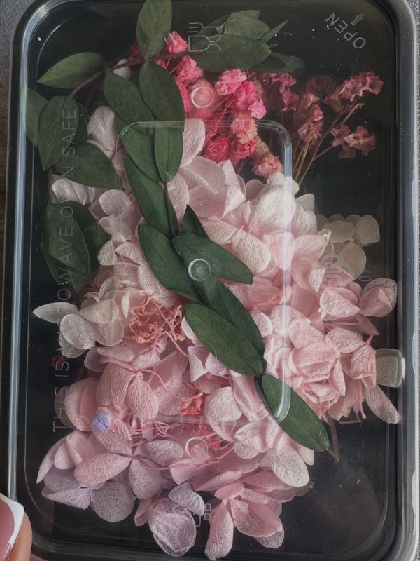 Набір квітів рожевих сухих