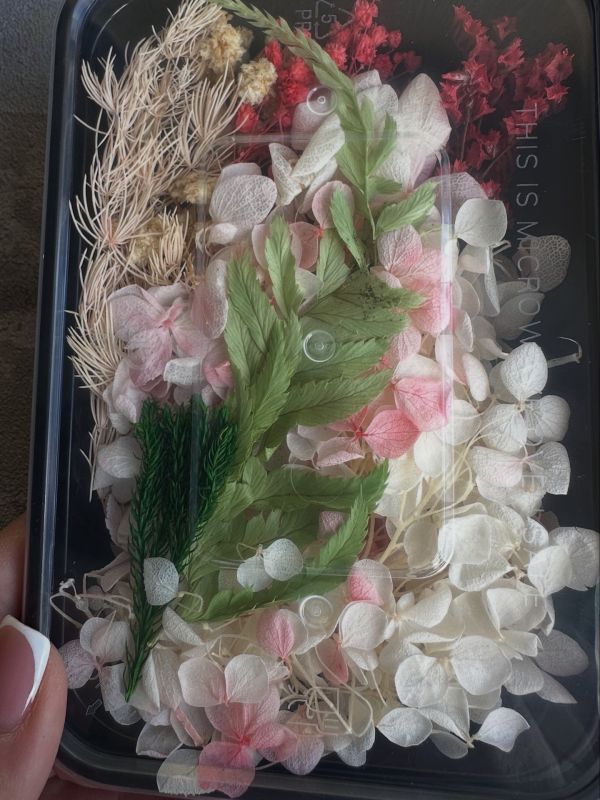 Набір квітів зефір