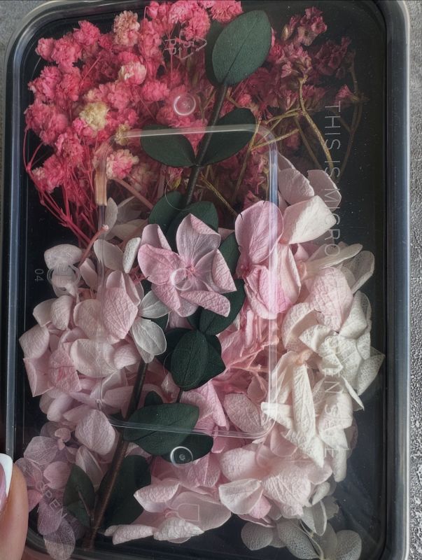 Набір квітів рожевих сухих