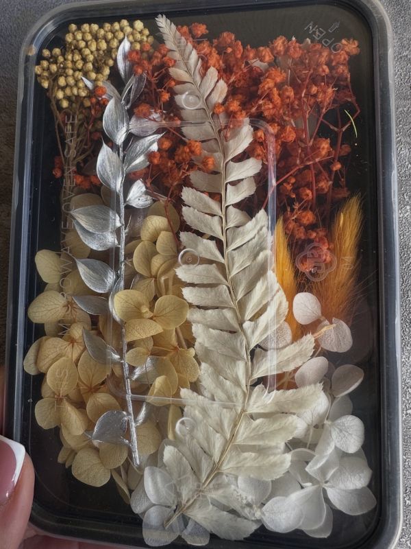 Квіти сухі набір карамель