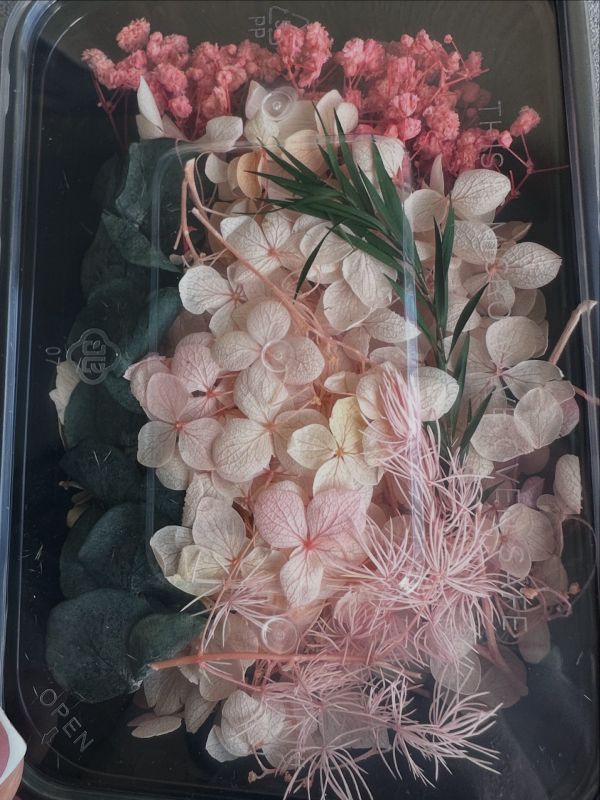 Набір квітів рожевих сухих