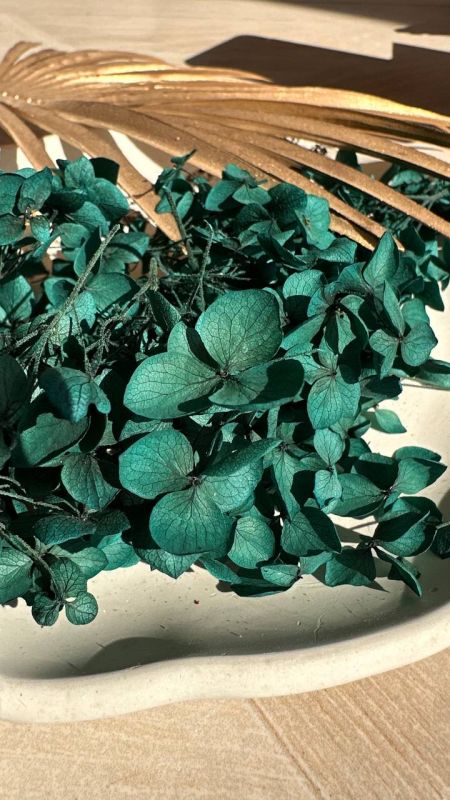 Смарагдова гортензія