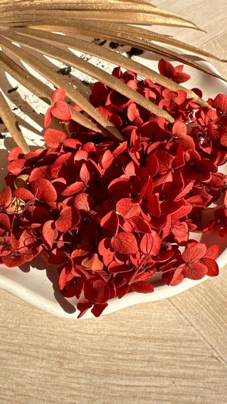 Червона суха гортензія