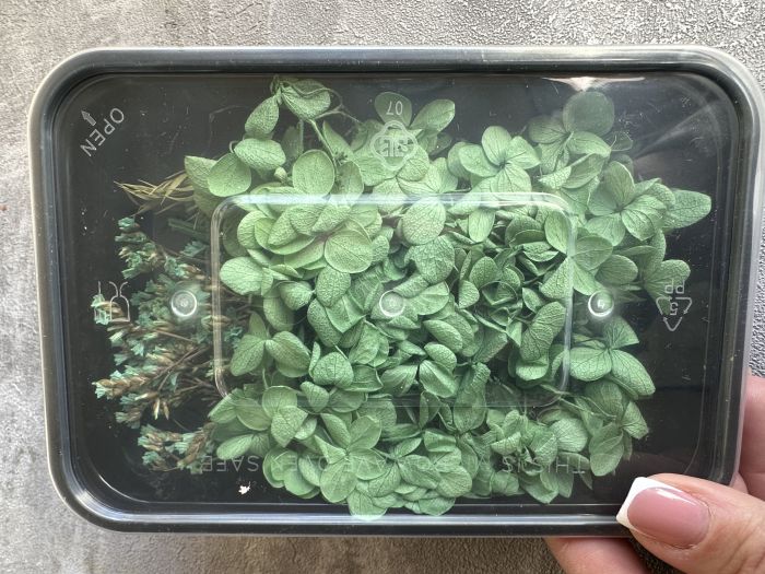 Набір сухих квітів зелений