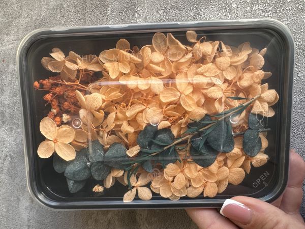 Квіти сухі набір помаранч