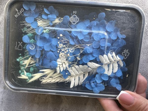 Сухі квіти набір синій 