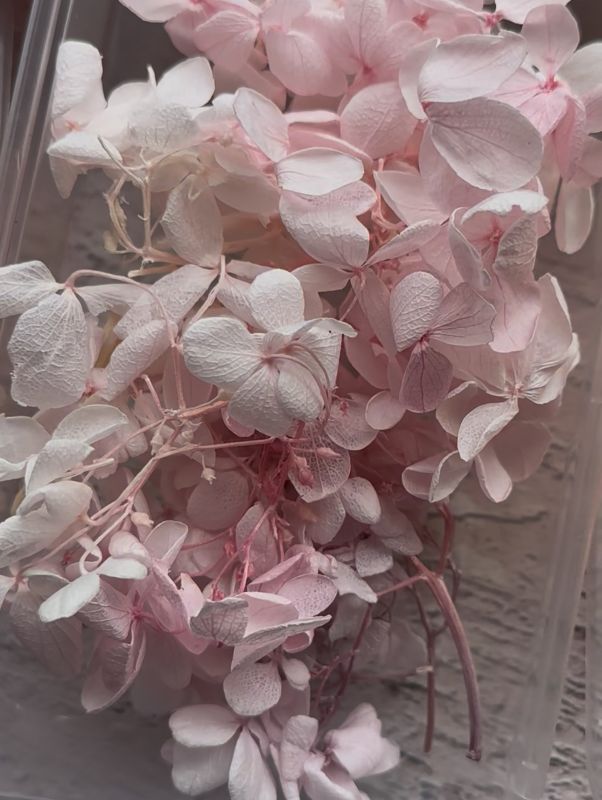 Гортензія суха Рожевий зефір 5грам